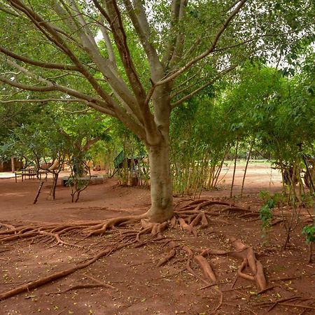 Our Native Village Bangalore Ngoại thất bức ảnh