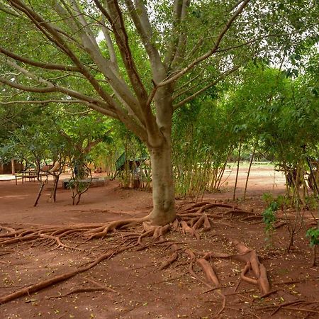 Our Native Village Gadigarpalya Ngoại thất bức ảnh