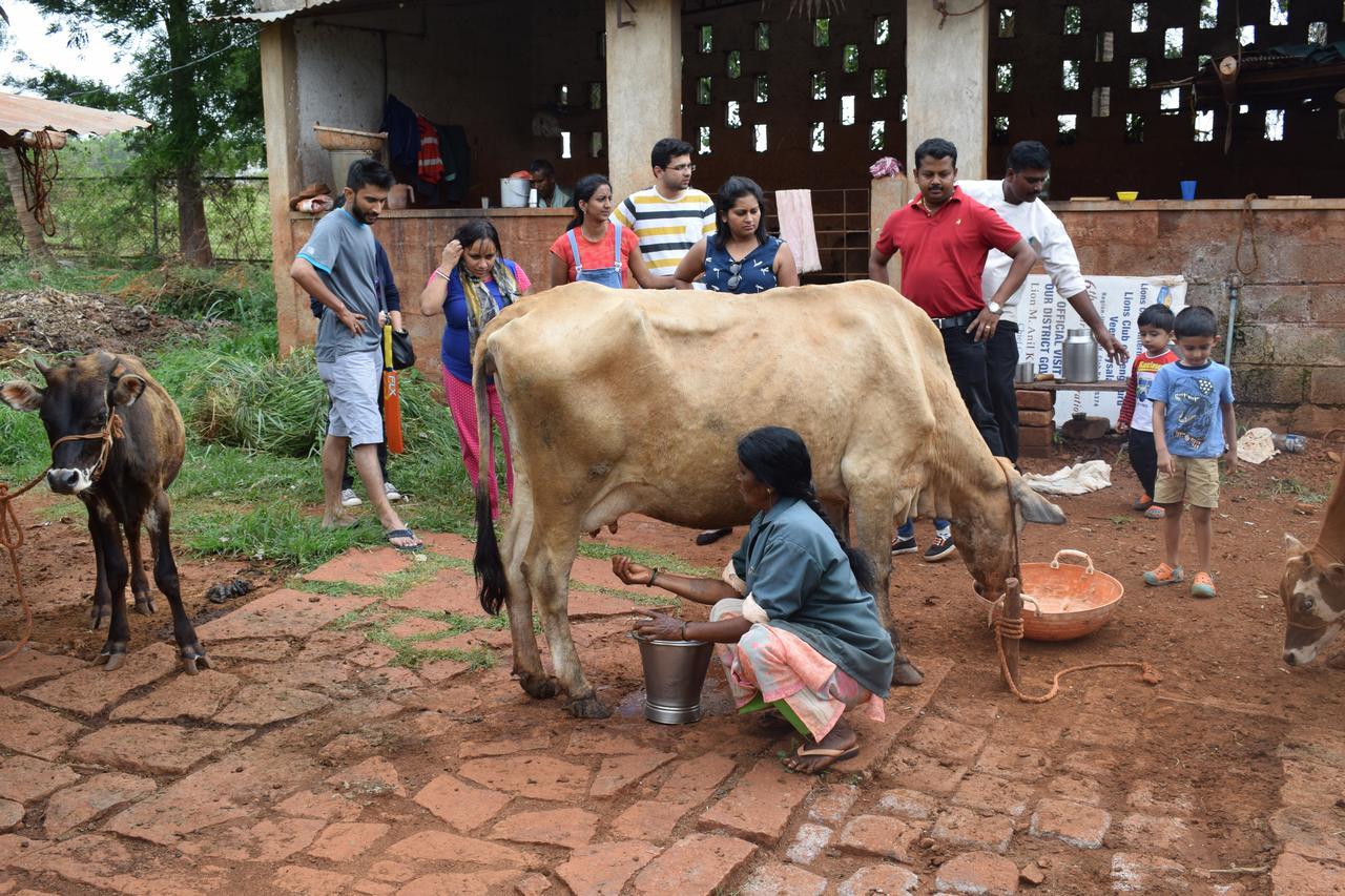 Our Native Village Bangalore Ngoại thất bức ảnh