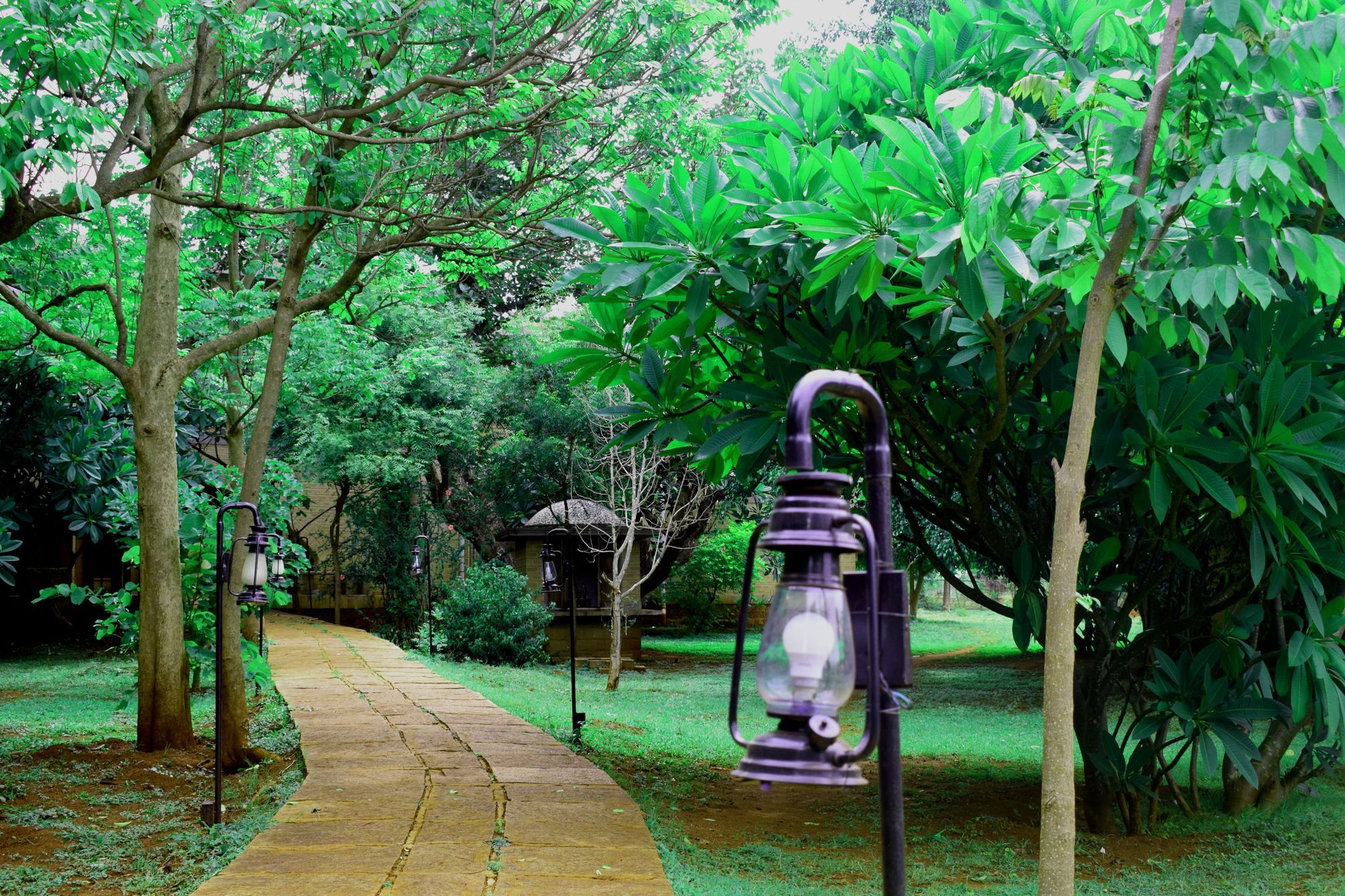 Our Native Village Gadigarpalya Ngoại thất bức ảnh