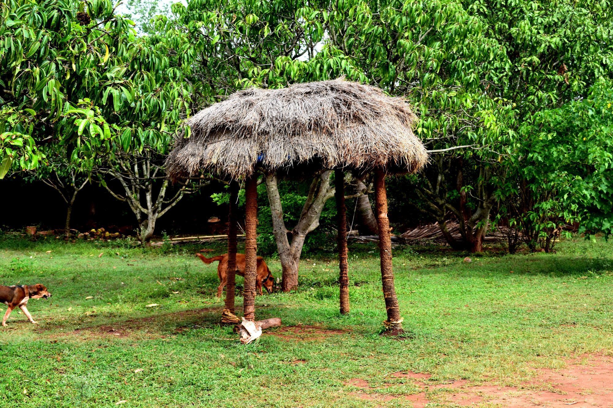 Our Native Village Bangalore Ngoại thất bức ảnh